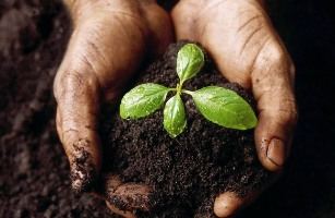 Здоровье почвы в наших руках