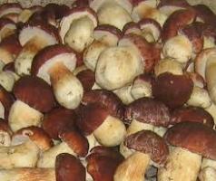Как приготовить замороженные белые грибы?