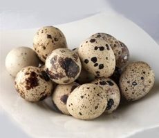 Как варить перепелиные яйца?