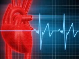 Что значит синусовый ритм сердца?