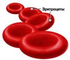 Повышены эритроциты в крови