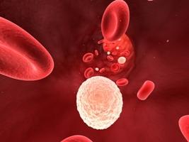 Повышены лейкоциты в крови при беременности