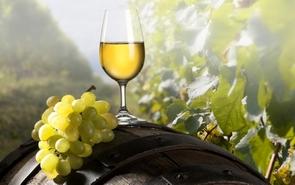 Домашнее вино из белого винограда