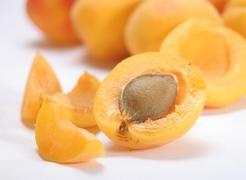 Как вырастить абрикос из косточки?