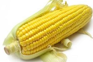 Кукуруза при панкреатите