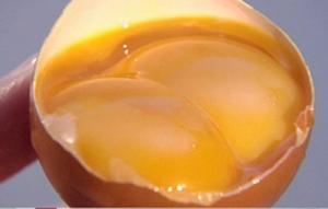 Примета "яйцо с двумя желтками"