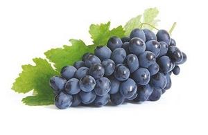 Виноград при грудном вскармливании