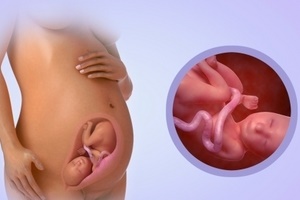 Как дышит ребенок в утробе матери?