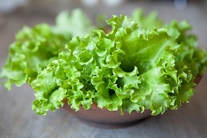 Как заготовить листовой салат на зиму?