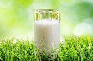 Козье молоко: польза и вред для ребенка
