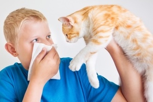 Как проявляется аллергия на кошек у детей?