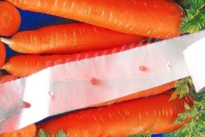 Как посеять морковь, чтобы не прореживать?