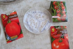 Как замачивать семена помидоров перед посадкой?
