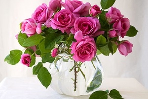 Как дольше сохранить срезанные розы в вазе с водой?