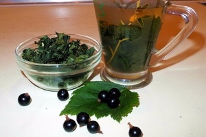 Как сушить листья смородины для чая?