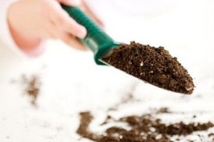 Как повысить кислотность почвы?