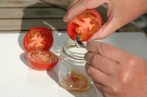 Как собирать семена помидор на рассаду?