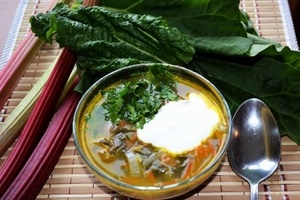 Суп из ревеня с мясом