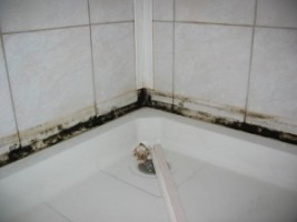 Как удалить плесень в ванной?