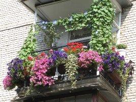 Как украсить балкон своими руками?