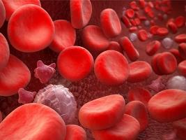Понижены тромбоциты в крови
