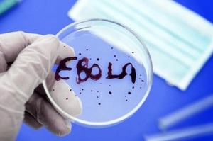Лихорадка Эбола: профилактика и симптомы