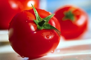 Почему гниют помидоры в теплице?