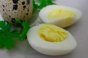 Перепелиные яйца при грудном вскармливании