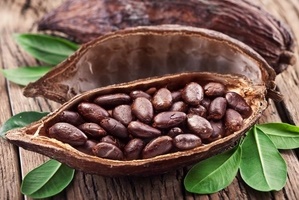 Какао-бобы: полезные свойства