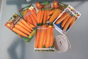 Благоприятные дни для посадки моркови в апреле 2017 года