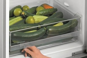 Можно ли хранить кабачки в холодильнике?